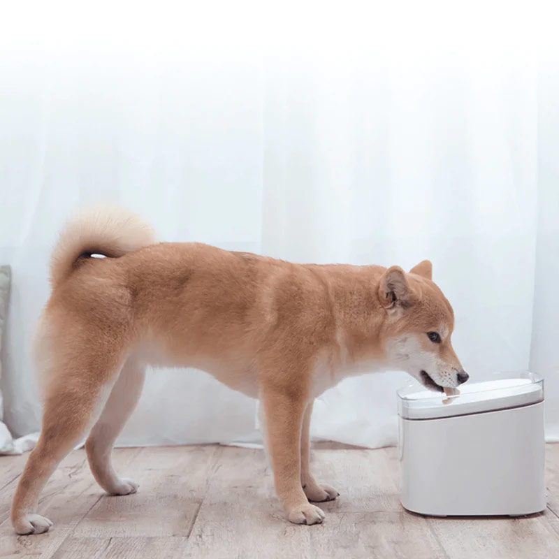 Bebedouro Inteligente Para Animais Xiaomi Smart Pet Water Fountain 3